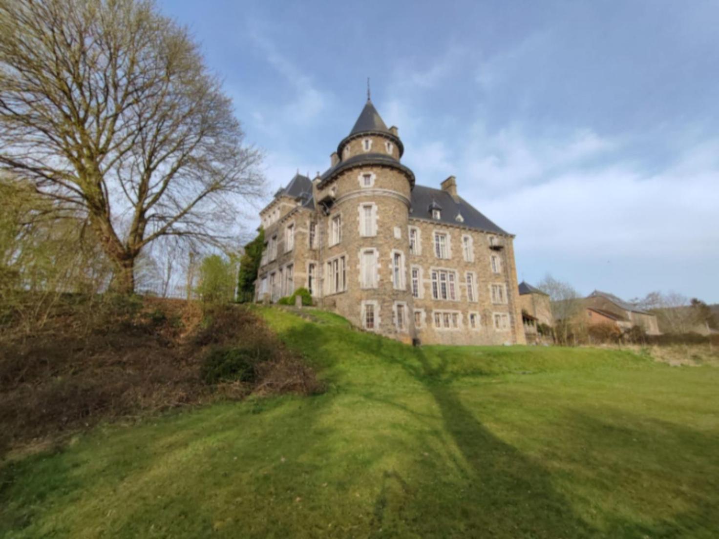 Le Petit Chateau De Blier Villa Erezee ภายนอก รูปภาพ